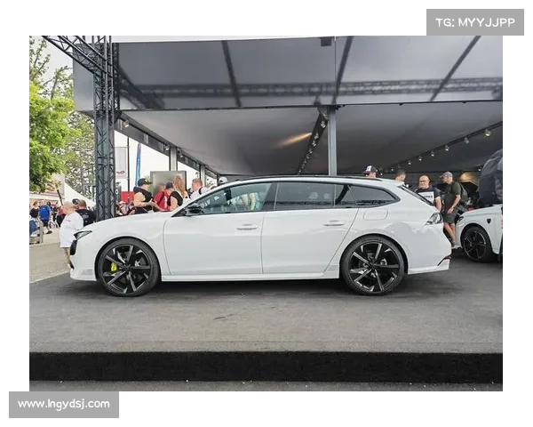 奥吉尔重返世界拉力锦标赛阿根廷站 驾驶标致混动赛车再度亮相